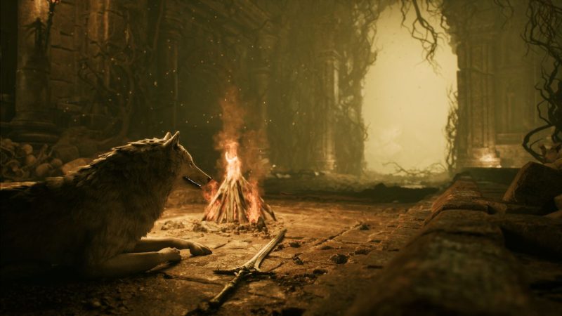 宫崎英高看了都沉默：这只叼剑的狗子，被玩家亲封“Bark Souls”
