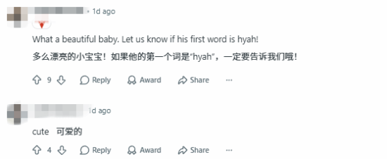 新生儿金发尖耳，爸妈取名林克，网友：塞尔达成真了！