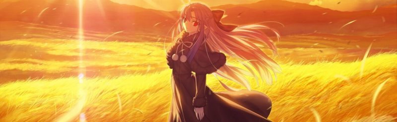 TGS2026《MELTY BLOOD: TWI-LUMINA》制作人采访：Grand Scenario约20小时，Last Arc将更易发动