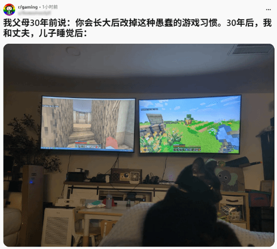 Reddit玩家晒儿子睡后夫妻双屏联机《我的世界》引热议